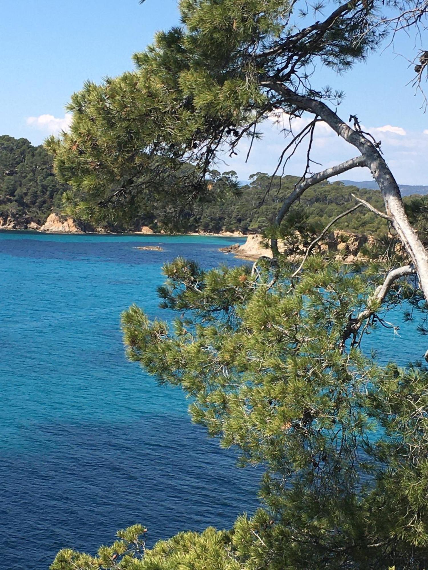 Appartement T3 Lumineux Traversant Totalement Neuf En Face De La Plage Front De Mer Vue Sur Les Iles Vue Mer Panoramique Assuree Residence De La Plage Centre Ville Du Lavandou 3Eme Etage Avec Ascenseur Appartement T3 Le Lavandou Bagian luar foto